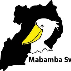 MabambaSwamp logo